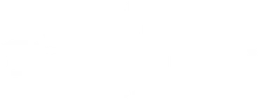 The Laundry Carts